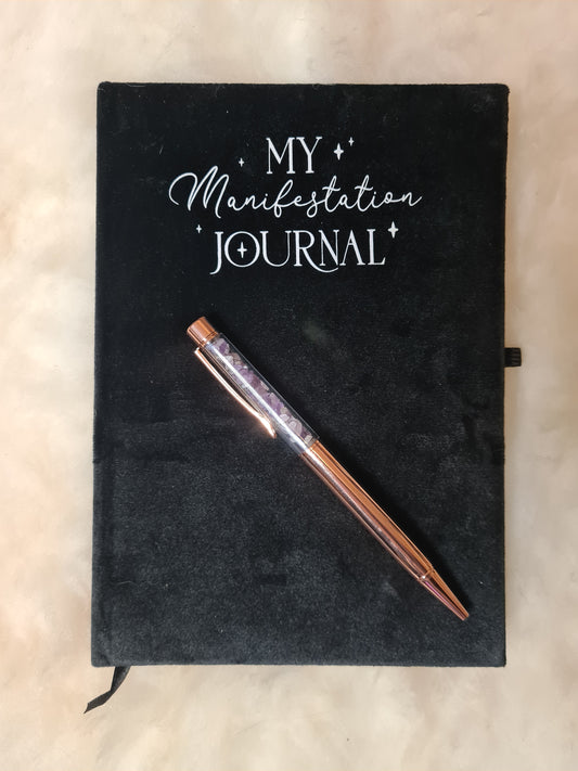 Diario della Manifestazione